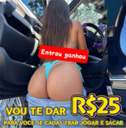 z95 Provedores Premium